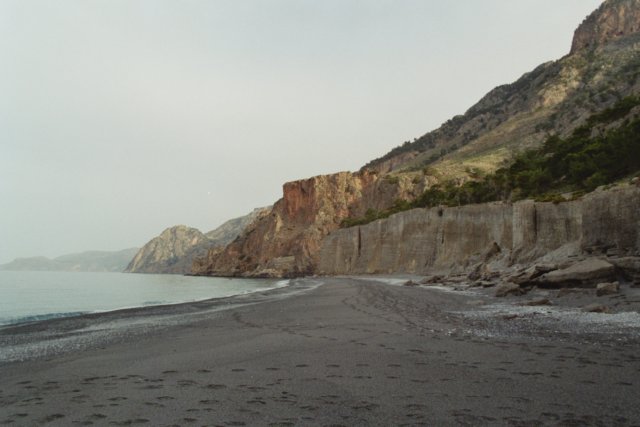 Photograph