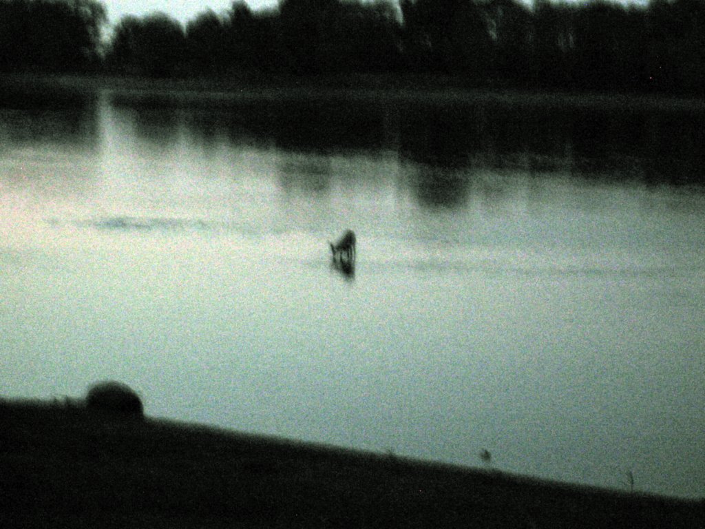 Photograph