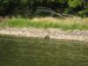 Photo Number 13