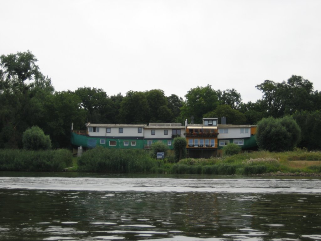 Photograph