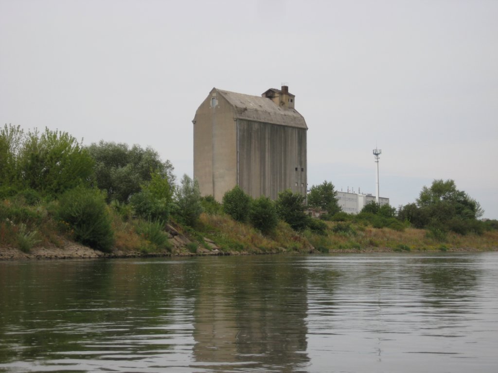 Photograph