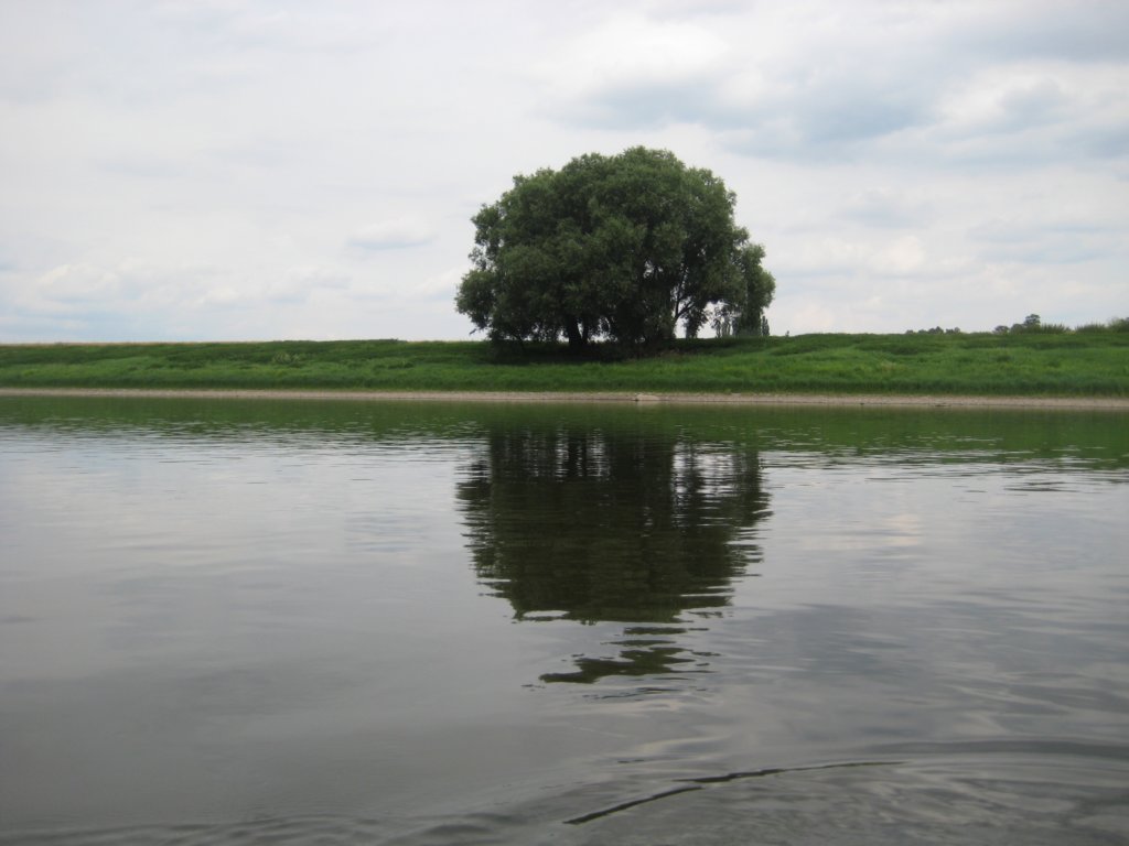 Photograph