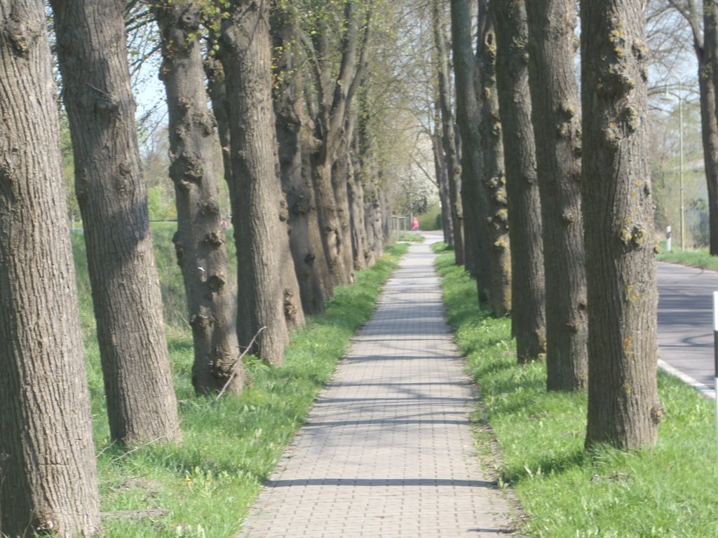 hurtignachhavelberg.jpg