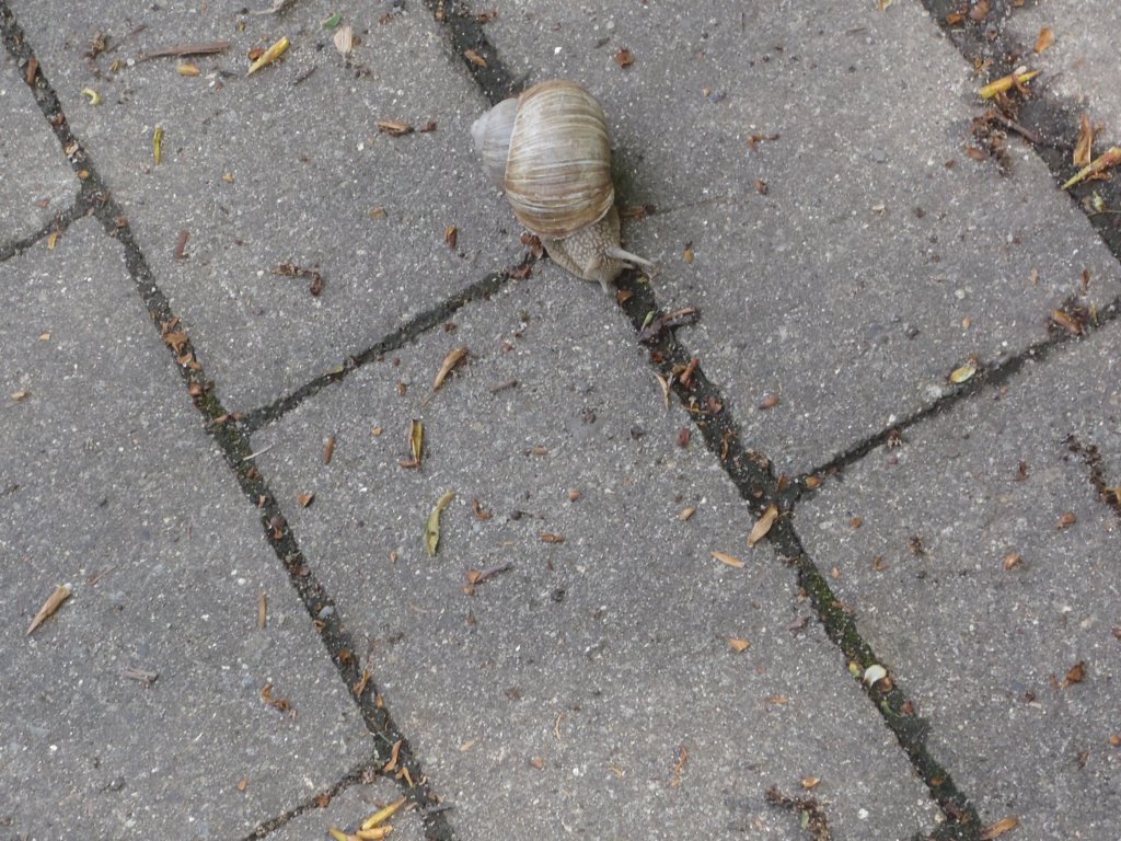 kollegin.jpg