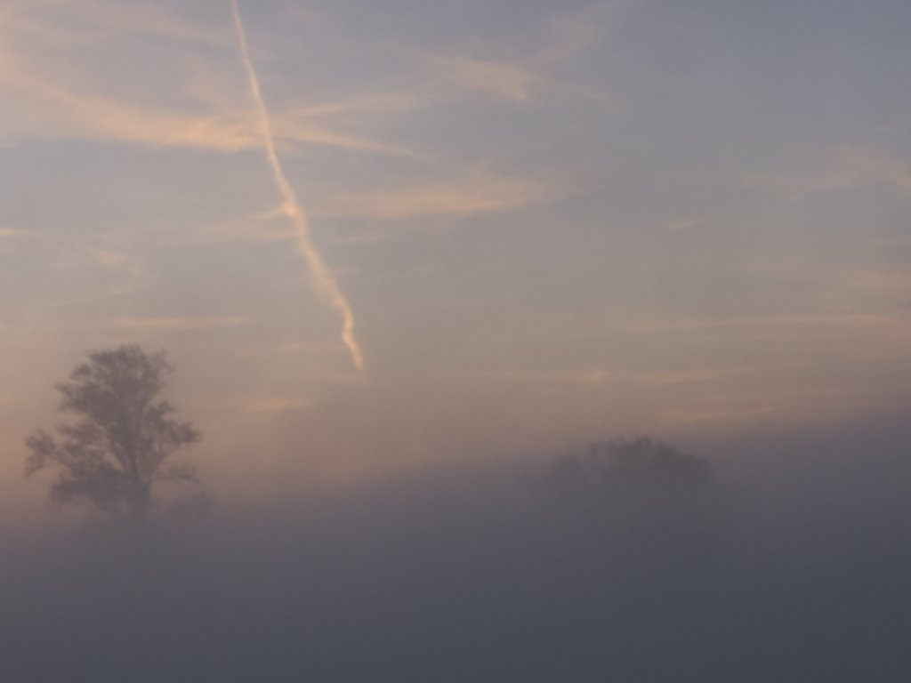 morgennebelamfluss3.jpg