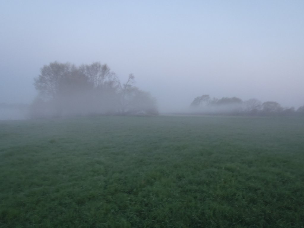 morgennebelberdemflusswiedermal.jpg