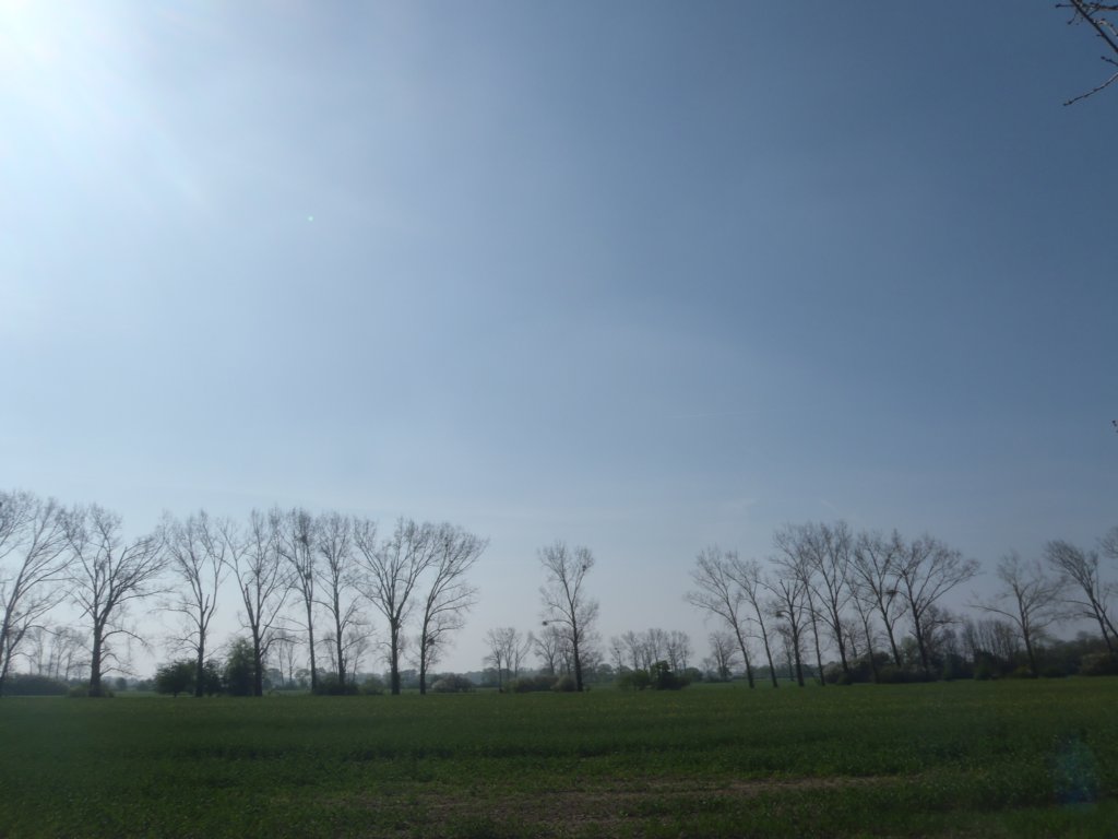 ohdieserhimmel.jpg