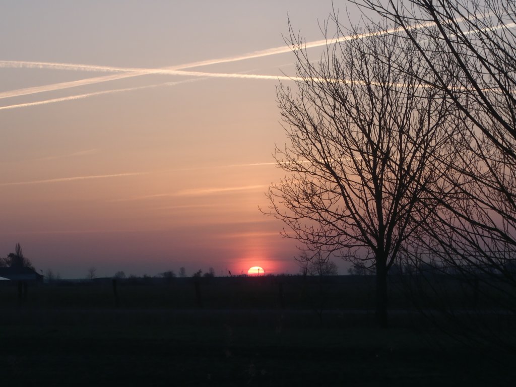 sonnenaufgangohne.jpg