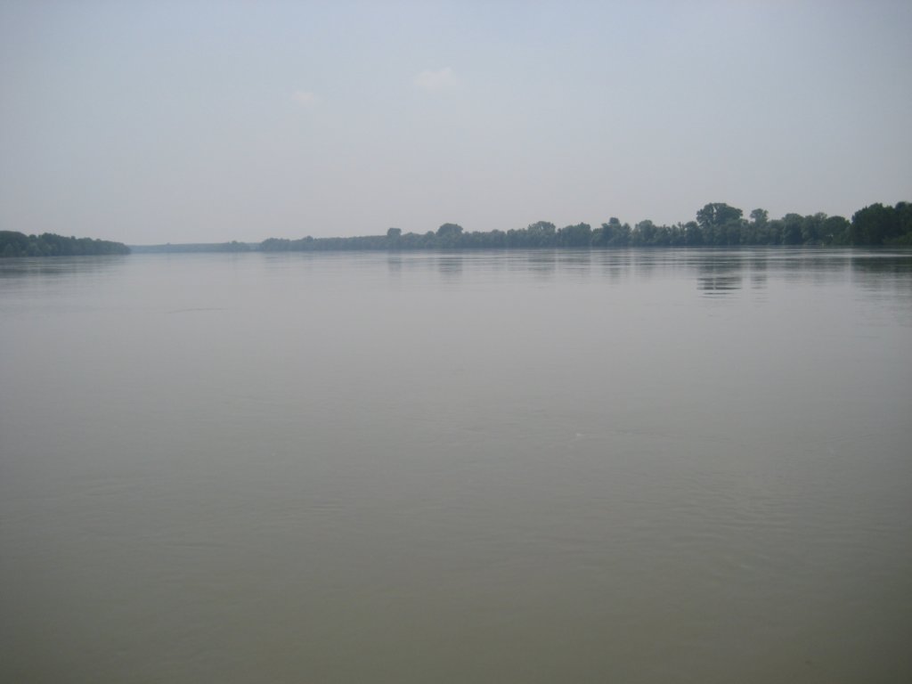derfiumepoistderolmanriveritaliens.jpg