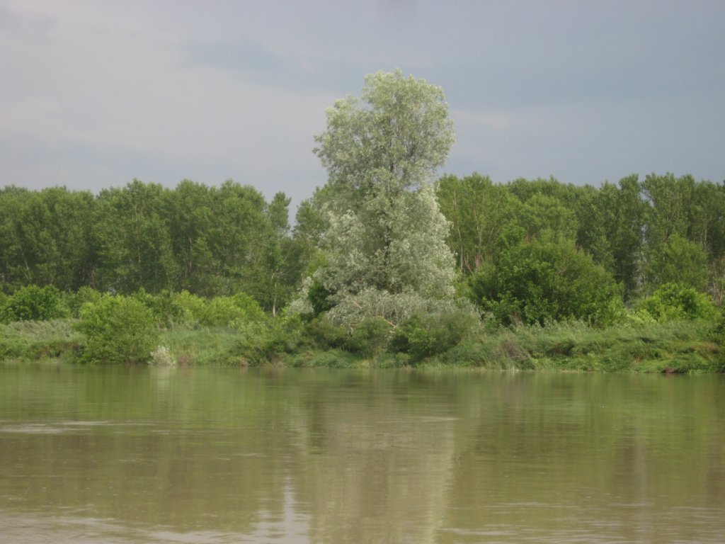 derhimmeltrbtsicheinundwirddannschwarzdiesilhouettenwerdenklarundscharf.jpg