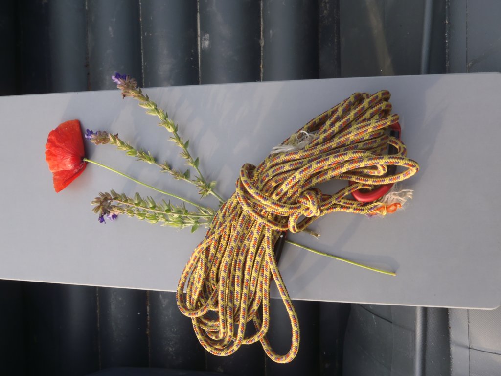 einpaarblumenzumgeburtstagvonerhardsvaterpostmortem.jpg