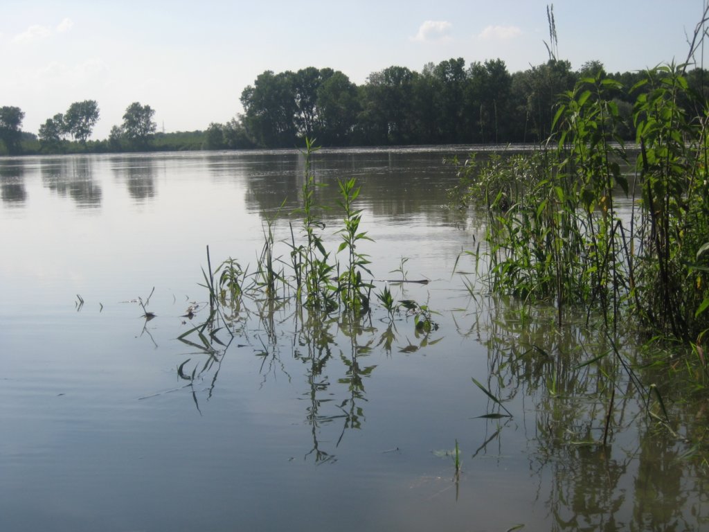 typischesandbankziemlichunterwassernichtsogutzumbernachtenimmernochhochwasser.jpg