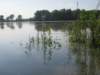 typischesandbankziemlichunterwassernichtsogutzumbernachtenimmernochhochwasser_small.jpg