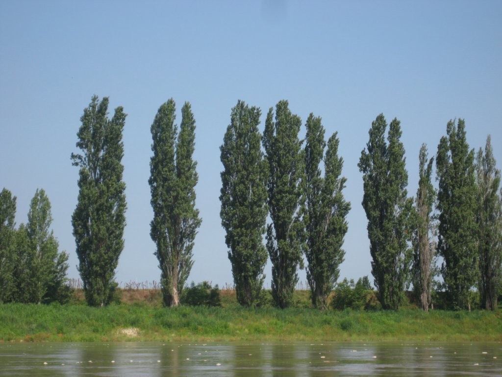 wiedergepflegteuferlandschaft.jpg